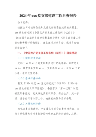 2024年xxx党支部建设工作自查报告