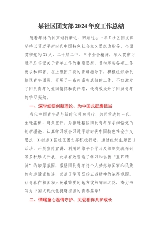 某社区团支部2024年度工作总结