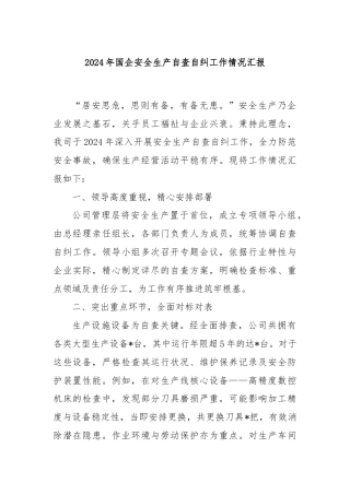 2024年国企安全生产自查自纠工作情况汇报