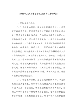 2024年人大工作总结及2025年工作计划2