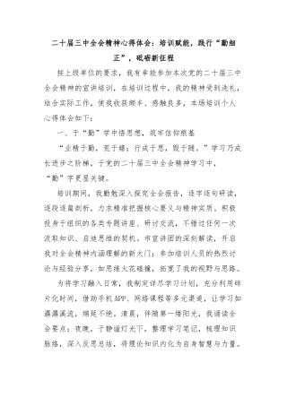 二十届三中全会精神心得体会：培训赋能，践行“勤细正”，砥砺新征程