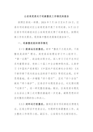 公安局党委关于巡察整改工作情况的报告