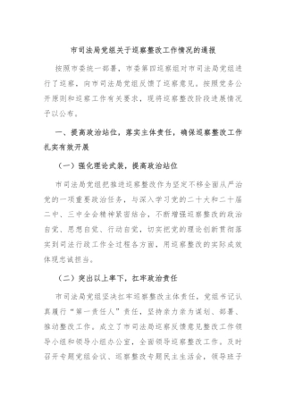市司法局党组关于巡察整改工作情况的通报