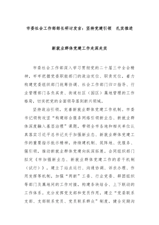市委社会工作部部长研讨发言：坚持党建引领  扎实推进新就业群体党建工作走深走实