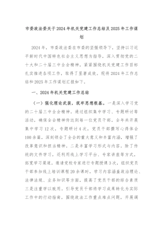 市委政法委关于2024年机关党建工作总结及2025年工作谋划