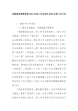 县数据资源管理局2024年度工作总结和2025年度工作计划