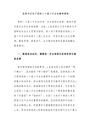 县委书记关于党的二十届三中全会精神感悟