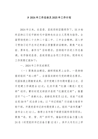 乡2024年工作总结及2025年工作计划