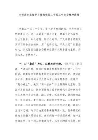 乡党政办主任学习贯彻党的二十届三中全会精神感悟