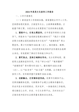 2024年某局文化宣传工作报告
