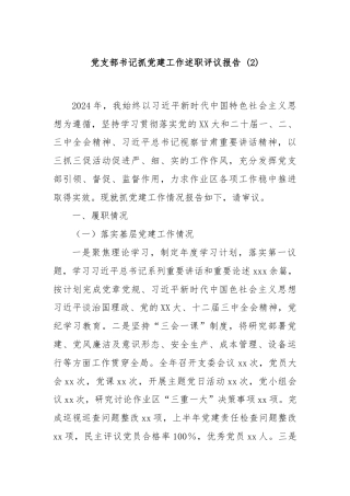 党支部书记抓党建工作述职评议报告 (2)