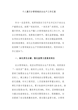 个人履行分管领域安全生产工作汇报