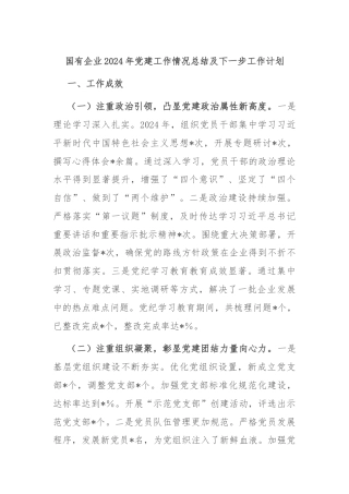 国有企业2024年党建工作情况总结及下一步工作计划