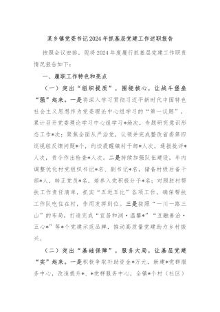 某乡镇党委书记2024年抓基层党建工作述职报告