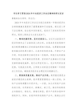 市长学习贯彻2024年中央经济工作会议精神的研讨发言