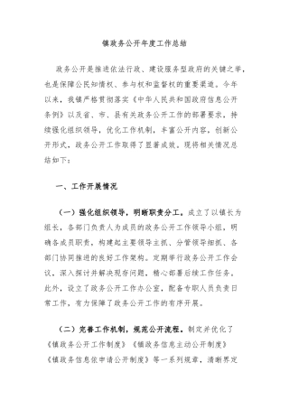 镇政务公开年度工作总结