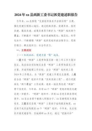 2024年xx县两新工委书记抓党建述职报告