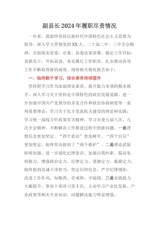 副县长2024年履职尽责情况