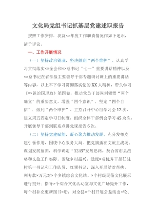 文化局党组书记抓基层党建述职报告