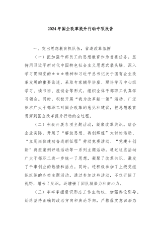 2024年国企改革提升行动专项报告
