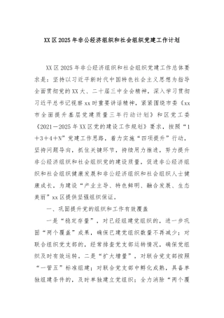 XX区2025年非公经济组织和社会组织党建工作计划
