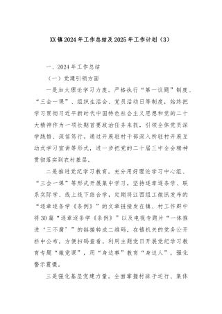 XX镇2024年工作总结及2025年工作计划（3）