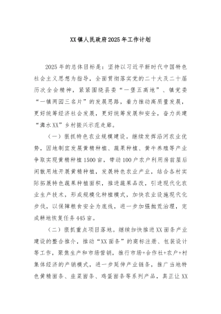 XX镇人民政府2025年工作计划