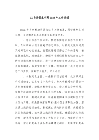 XX自治县水利局2025年工作计划