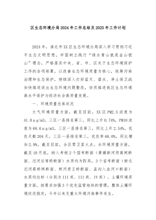 区生态环境分局2024年工作总结及2025年工作计划