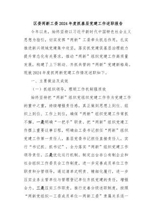 区委两新工委2024年度抓基层党建工作述职报告