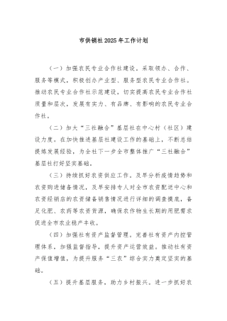 市供销社2025年工作计划
