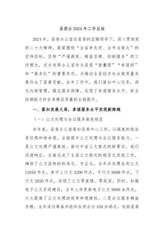 县委办2024年工作总结