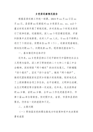乡党委巡察情况报告