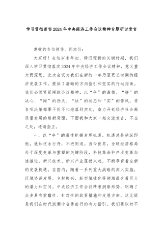 学习贯彻落实2024年中央经济工作会议精神专题研讨发言