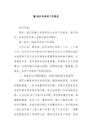 镇2025年政府工作报告