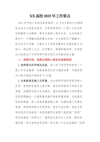 XX高校2025年工作要点