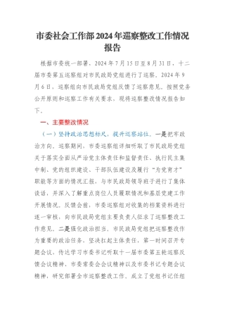 市委社会工作部2024年巡察整改工作情况报告