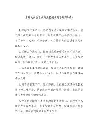 (20条)专题民主生活会对照检视问题台账