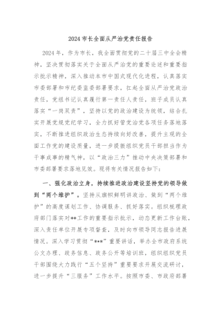2024市长全面从严治党责任报告