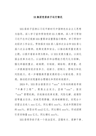 XX集团党委班子运行情况