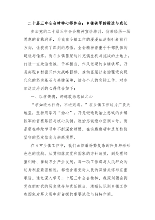 二十届三中全会精神心得体会：乡镇铁军的锻造与成长