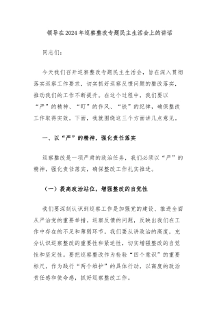 领导在2024年巡察整改专题民主生活会上的讲话