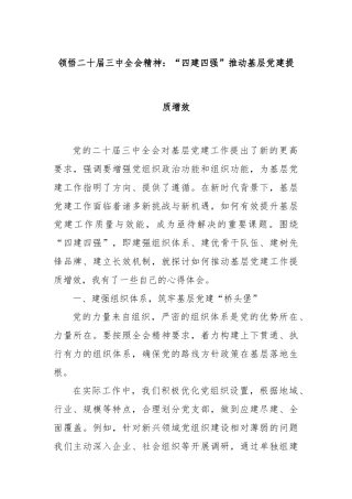 领悟二十届三中全会精神：“四建四强”推动基层党建提质增效