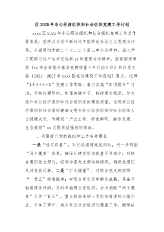 区2025年非公经济组织和社会组织党建工作计划