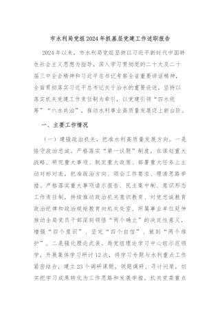 市水利局党组2024年抓基层党建工作述职报告