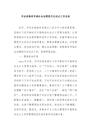 司法局推进市域社会治理现代化试点工作总结