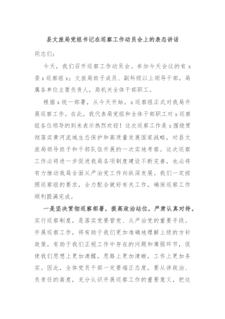 县文旅局党组书记在巡察工作动员会上的表态讲话