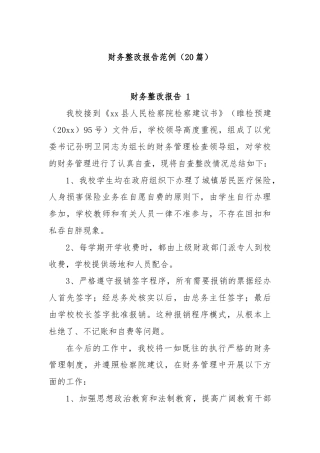 (20篇)财务整改报告范例