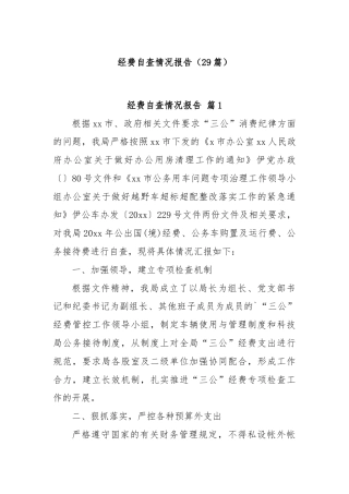 (29篇)经费自查情况报告