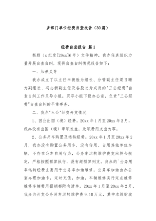 (30篇)多部门单位经费自查报告
